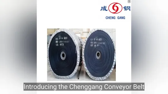 Flexible Modular Conveyor Belt System for Efficient Material Handling