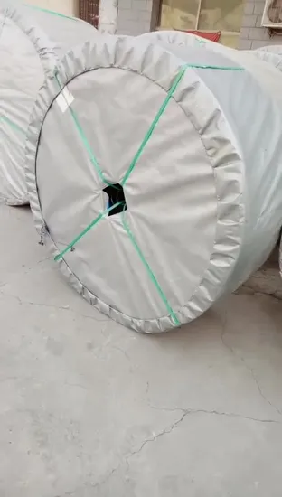 Bulk Material Handling Systems Wire Resistance Conveyor Belt 500mm for Sale