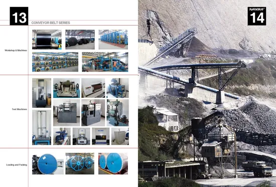 Ep Polyester Steel Cord Heat Fire Flame Cold Oil Acid Alkali Impact Wear Resistant Rip